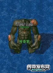 新开传奇倚天精品——老虎屁股摸不得|--4EngLish.Cn
